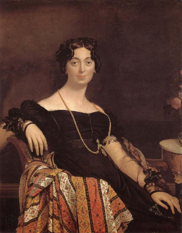 Jean-Auguste Dominique Ingres Mrs. Yake France oil painting art